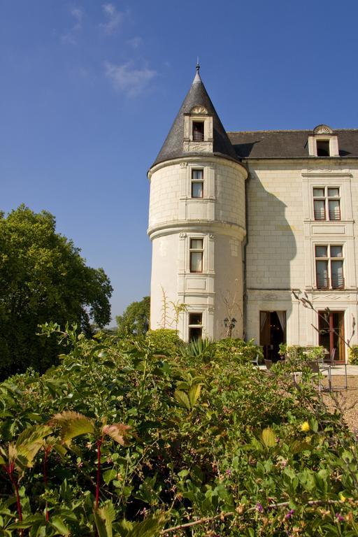 Chateau De Chissay, Hotel De Charme Pres De Chenonceau Et Le Zoo De Beauval Екстериор снимка